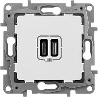 Розетка USB тип С+С без рамки Legrand Etika 2-м. 3000мА белый картинка